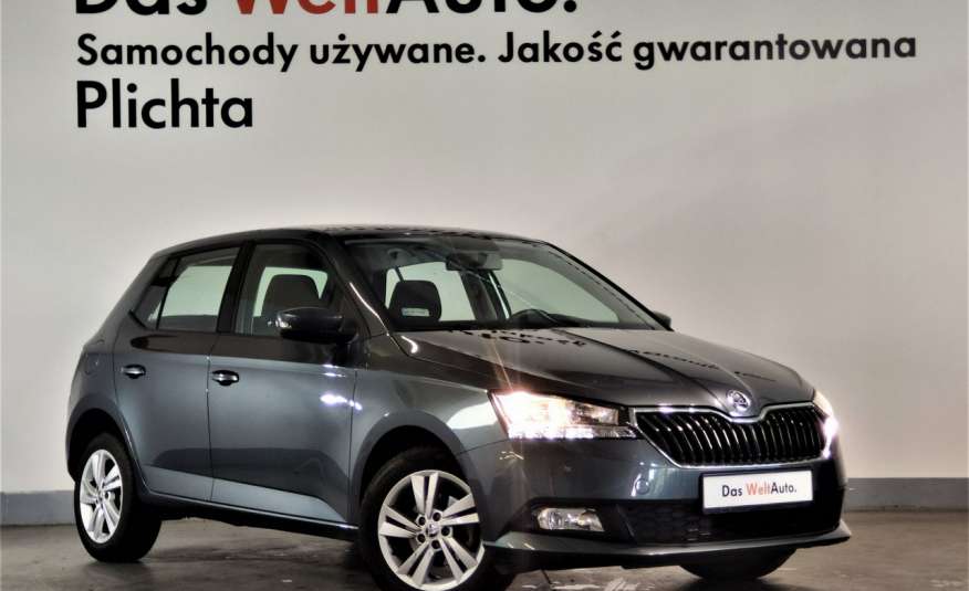 Skoda Fabia 1.0MPI 75KM, Ambition, Klimatyzacja, Salon PL, Gwarancja zdjęcie 