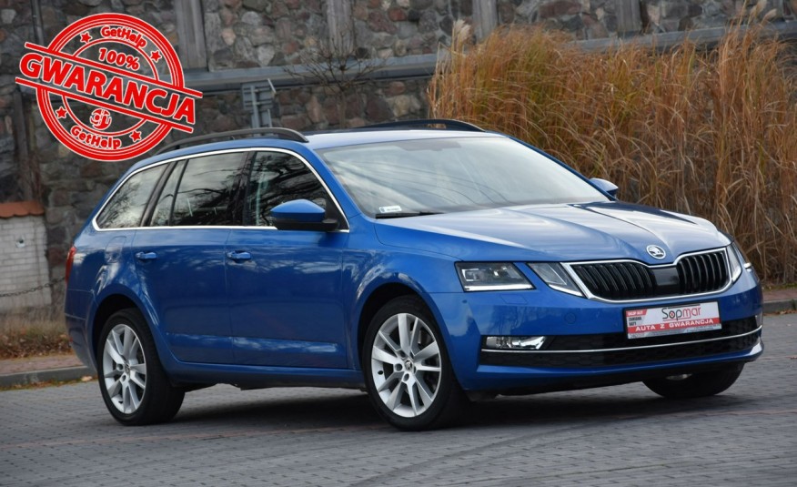 Skoda Octavia 4x4 2.0TDi 184KM DSG 2019r. SALON Navi full LED 2xpdc TEMPOMAT zdjęcie 