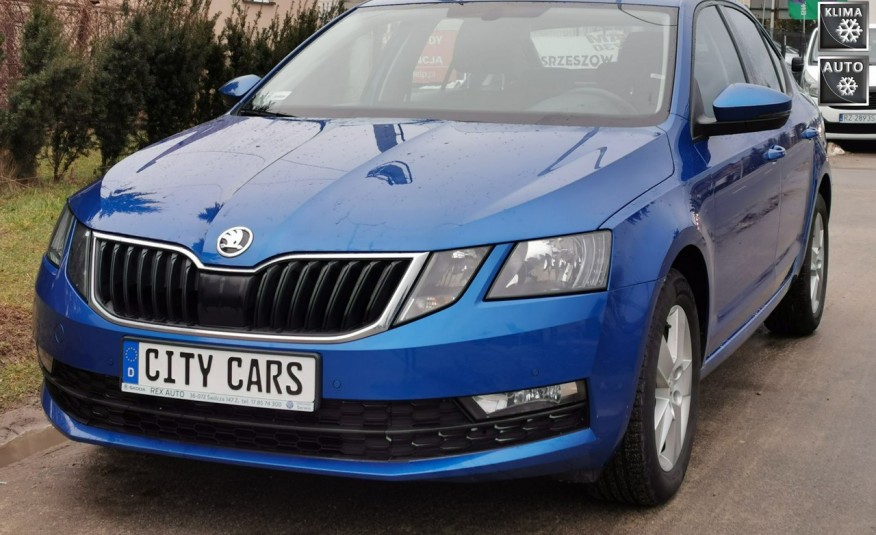 Skoda Octavia 1.6 TDI 116 KM Jedyne 31 tys. km Zarejestrowana Faktura VAT 23 % zdjęcie 
