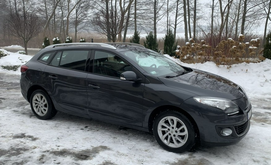 Renault Megane 1.6 dCi 130KM - Navi / Kamera / Salon PL I-właściciel Serwis ASO zdjęcie 