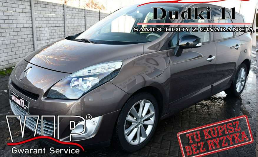Renault Grand Scenic 1.6dci 7 Foteli, Skóry, Navigacja, Podg.fot.2x Panor.Dach, Kam.Cof zdjęcie 