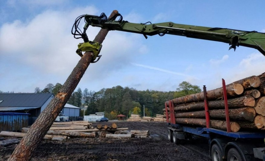 MAN HDS Loglift 215 Z 94 A Do Lasu Drzewa zdjęcie 