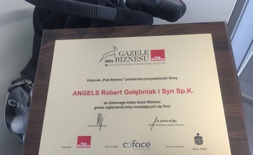 Volkswagen golf zdjęcie 8