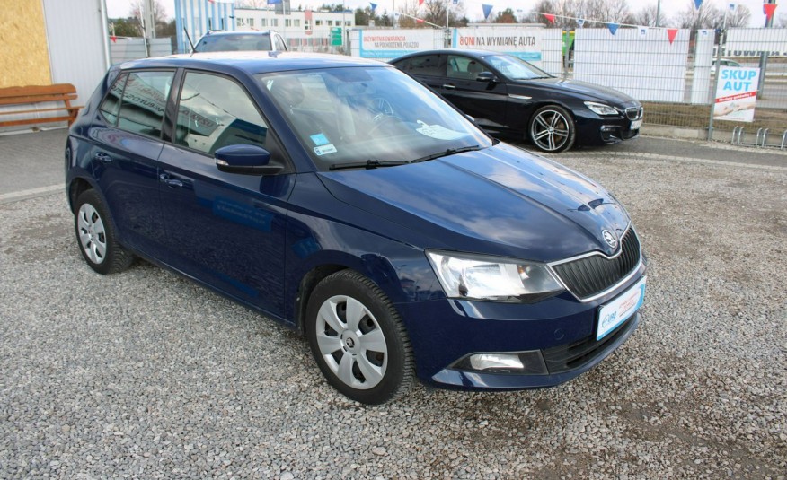 Skoda Fabia Salon, gwarancja, czujniki, klima, 5d zdjęcie 