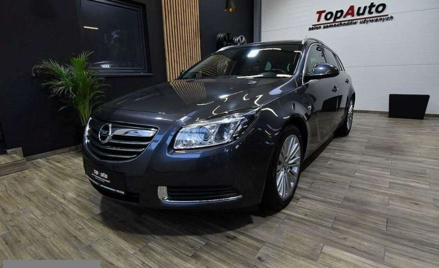 Opel Insignia 2.0cdti COSMO PANORAMA XENON manual bezwypadkowy GWARANCJA FILM zdjęcie 