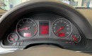 Audi a4 zdjęcie 13
