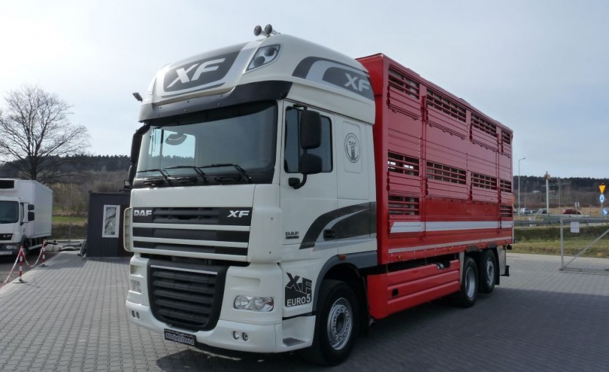 DAF XF 105.460 / DO ŻYWCA / PEZZAIOLI / zdjęcie 