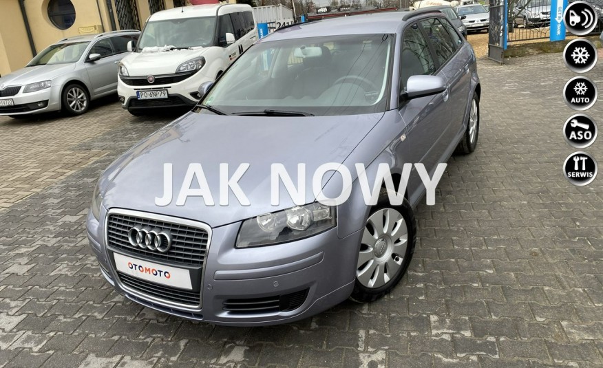 Audi A3 1.6 MPI 102KM Sportback 100.000km Klimatronic Z Niemiec zdjęcie 
