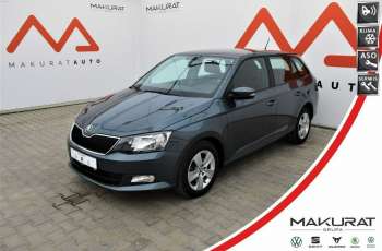Skoda Fabia SalonPL, Vat23%, Ambition, ASO, 4 el. szyby, Cz. park. Alu, Bluetooth 4x2