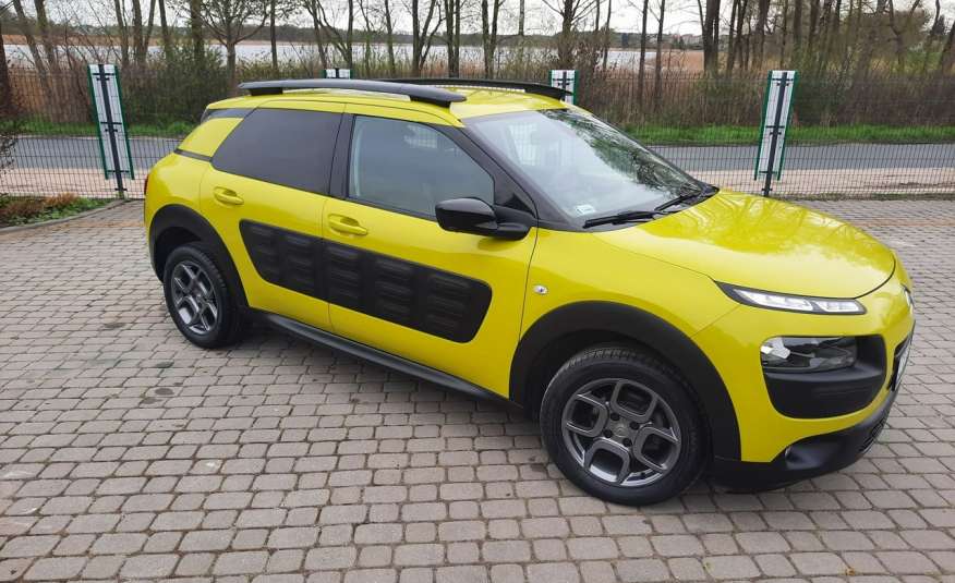 Citroen C4 Cactus 1.2 PureTech / Navi Kamera / Salon PL / Bezwypadkowy zdjęcie 