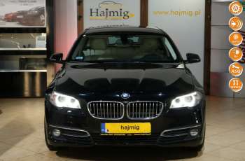 BMW 520 Luxury Line + Pakiety, fv VAT 23, salon PL, Gwarancja x5
