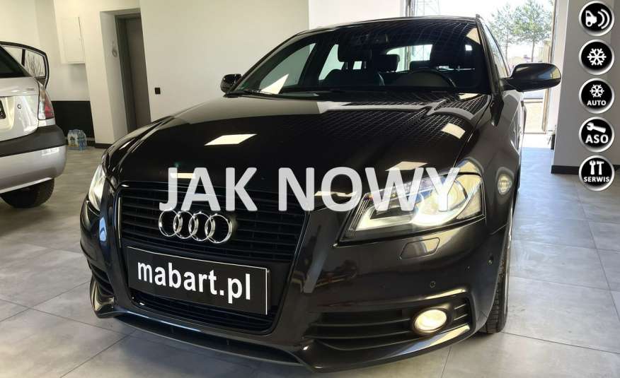 Audi A3 3x S line PLUS*Black Edition* Xenon*DRL* Alu*Klimatr*Skóry*Z Niemiec zdjęcie 