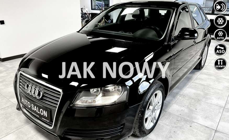 Audi A3 1.6 MPI 102KM Lift* Sportback*DRL *Klimatronic * Alu felgi * Z Niemiec zdjęcie 