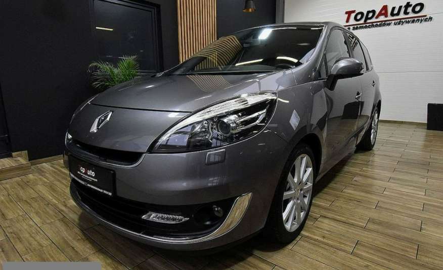 Renault Grand Scenic lift 1.6 DCI navi 7osob oryginalny przebieg ZAREJESTROWANY FILM zdjęcie 