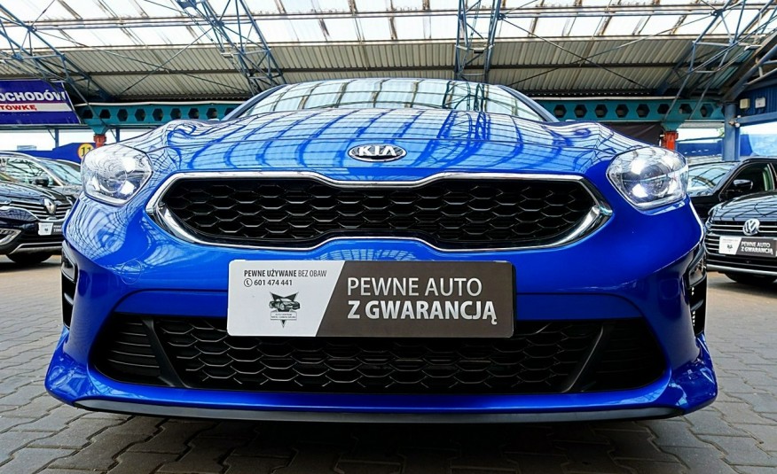 Kia Nowy Ceed GWARANCJA I-wł Krajowy Bezwypadkowy 1.4MPI 4x2 zdjęcie 