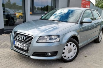 Audi A3 Lift 1.6 MPI 102km Klimatronic Serwis