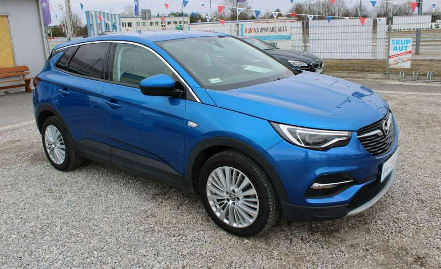 Opel Grandland X Lakier Perłowy, Automat, Grzane Fotele, Tempomat, NAVI, Gwarancja, F-Vat zdjęcie 
