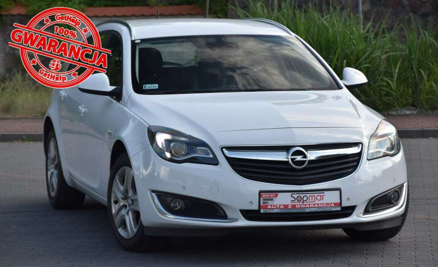 Opel Insignia 1.6CDTi 120KM 2017r. Polski Salon 123tkm BEZWYPADEK FV23 zdjęcie 