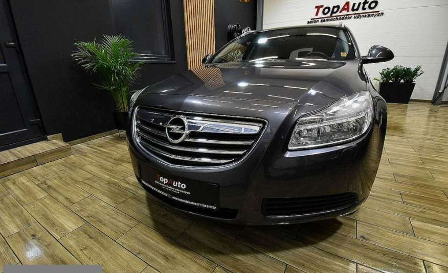 Opel Insignia 2.0cdti manual bezwypadkowy ZAREJESTROWANY GWARANCJA FILM zdjęcie 