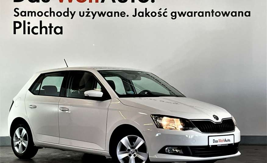 Skoda Fabia 1.0MPI 75KM, LPG, Klimatyzacja, Salon PL, zdjęcie 