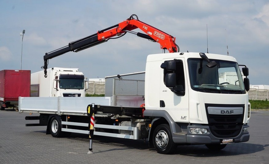 DAF / LF / 230 / EURO 6 / SKRZYNIOWY + HDS / ROTATOR / zdjęcie 