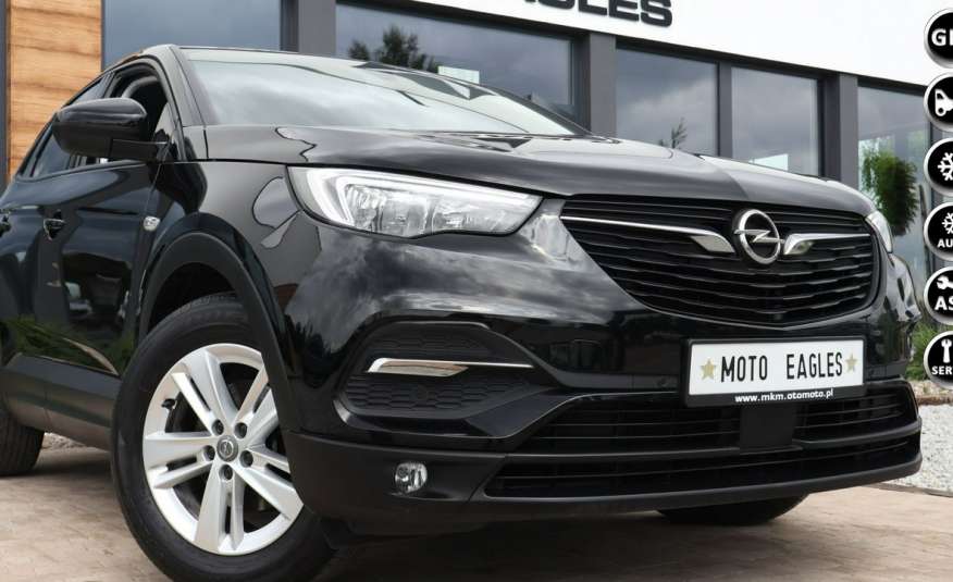 Opel Grandland X PÓŁ-Skóra LED Kamera 3x asystent podgrz fotelex4 zdjęcie 
