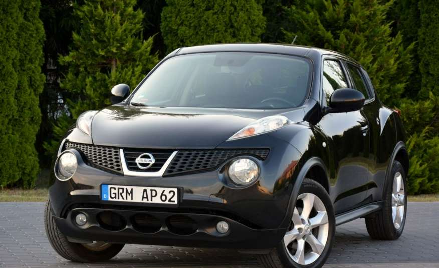 Nissan Juke 1.6i(117KM)*133tys.km*Duża Navi*Kamera*Klimatronic*Lakier oryginał*ASO zdjęcie 
