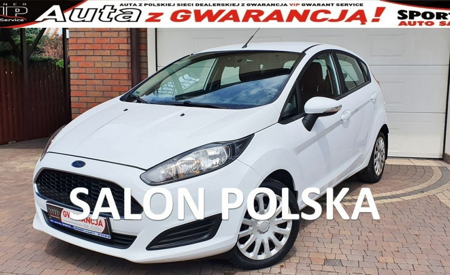 Ford Fiesta 1.4 16V 96KM.Klimatyzacja, Salon PL, BEZWYPADKOWY, F.vat23% zdjęcie 
