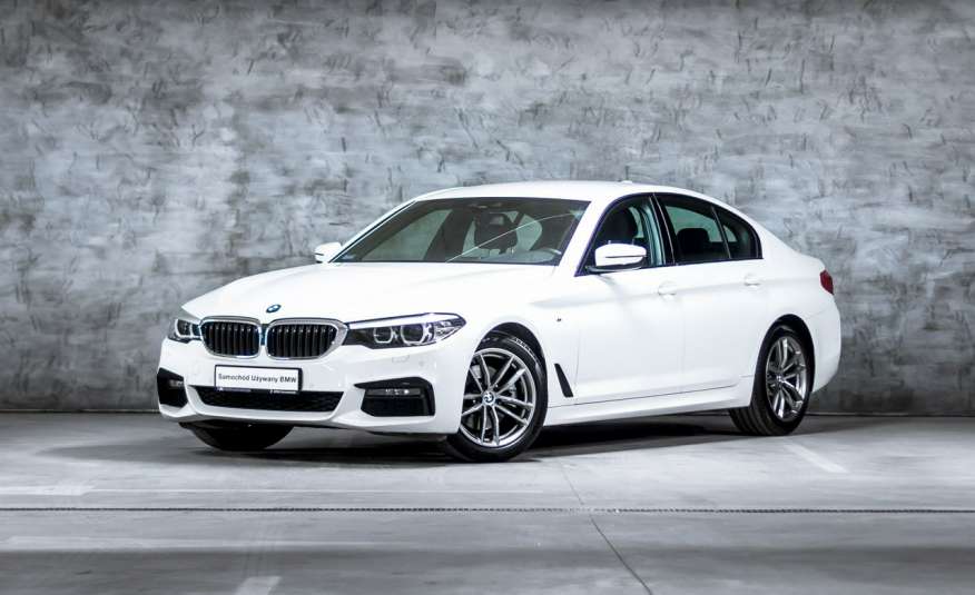518 BMW 518d (150KM) /Salon PL/M pakiet/Navi/Kamera/Live Cocpit Plus/ zdjęcie 