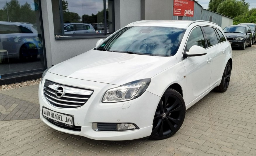 Opel Insignia 2.0 CDTI 160km 4x4 OPC Xenon Led Navi Recaro zdjęcie 