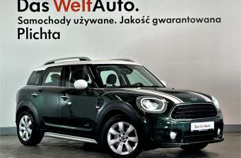 MINI Countryman Cooper D ALL4, Navi, Salon PL, 