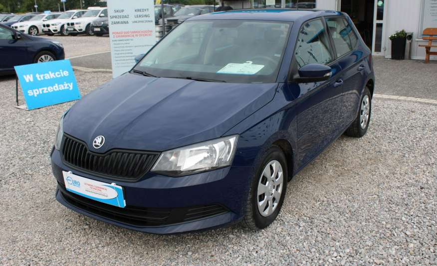 Skoda Fabia Salon, gwarancja, f-vat, benzyna, klima zdjęcie 