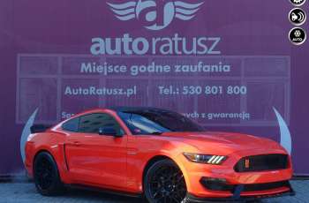 Ford Mustang Ford Mustang stylizacja Shelby 2.3 317 KM Automat