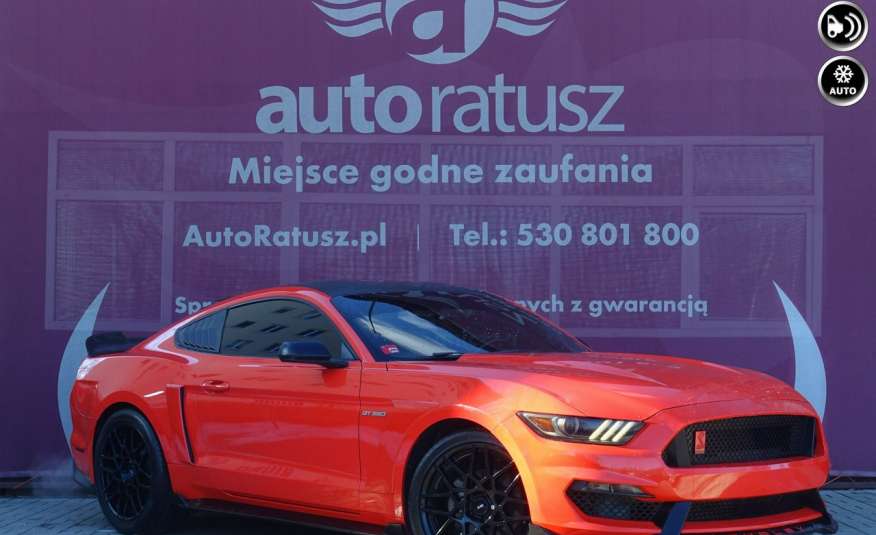 Mustang Ford Mustang stylizacja Shelby 2.3 317 KM Automat zdjęcie 