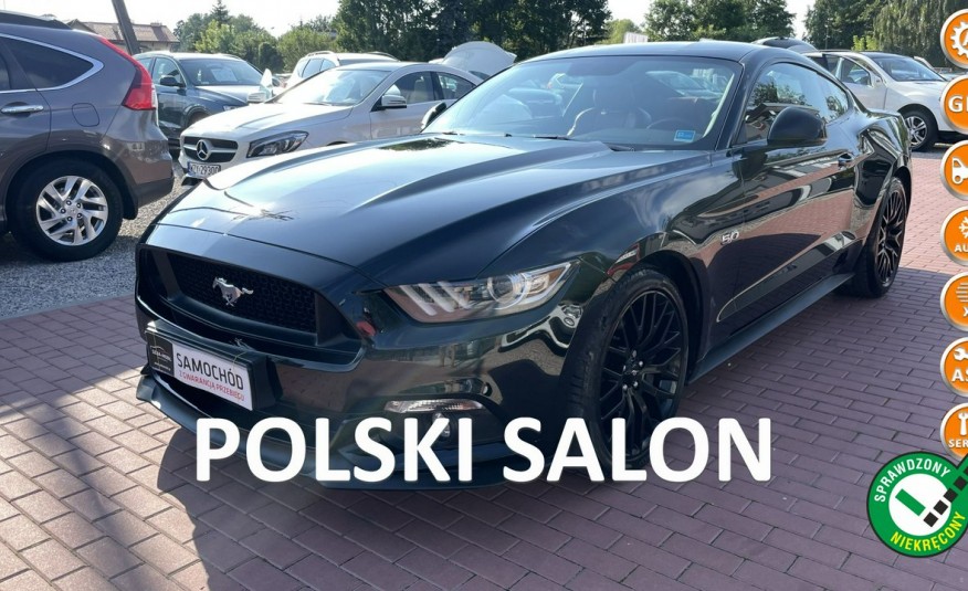 Ford Mustang Salon, Serwis, Full zdjęcie 