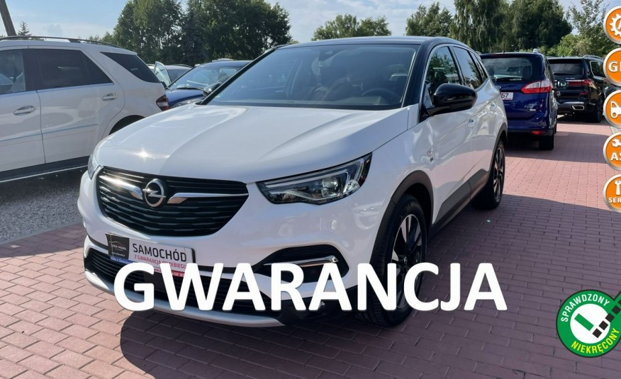 Opel Grandland X zdjęcie 