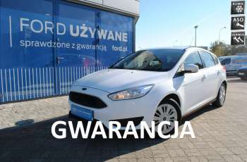 Ford Focus Hatchback Trend 1.6 Benzyna 105KM ASO Forda Gwarancja