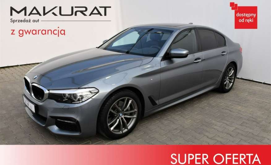 BMW 520 Vat 23%, 2 x M-Pakiet, Bi-Xenon, Led, Skóry, El. fotele, kamera, zdjęcie 