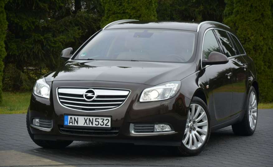 Insignia 2.0T(220KM) Bi-Xenon Duża Navi Skóry Ledy Alu 18"ASO Opel zdjęcie 