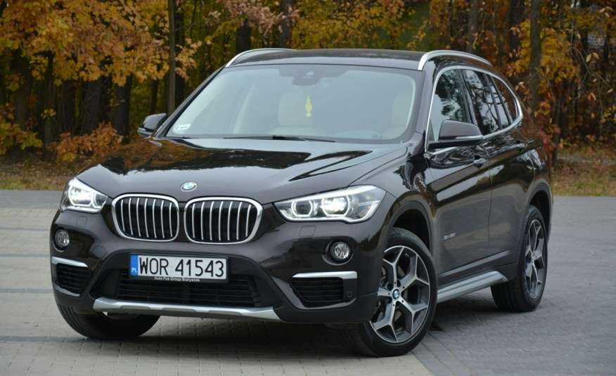 BMW X1 2.0i(192KM)_FV23%_ Salon Polska 24tys km przebiegu Full Opcja zdjęcie 