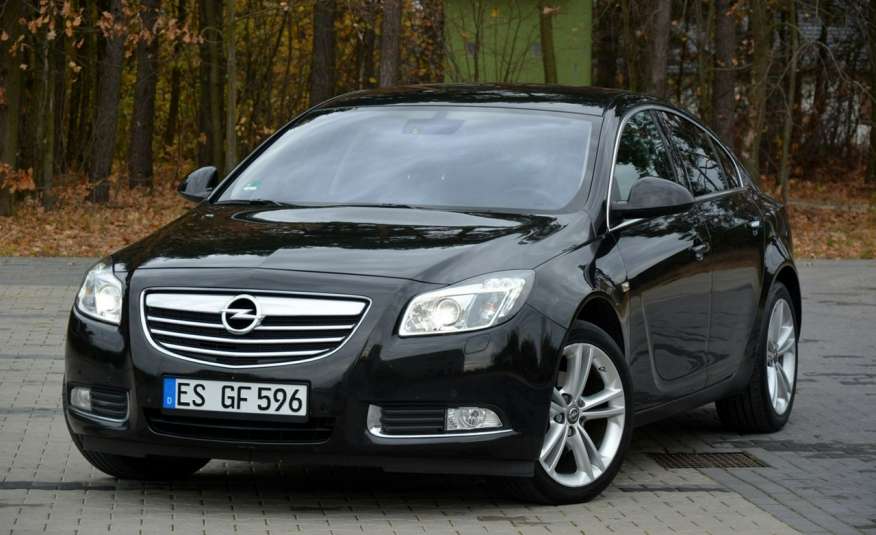 Opel Insignia 2.0CDTI(160KM) Xenon Led Duża Navi Skóry El.Foteli 2xParkt. Alu18"ASO zdjęcie 