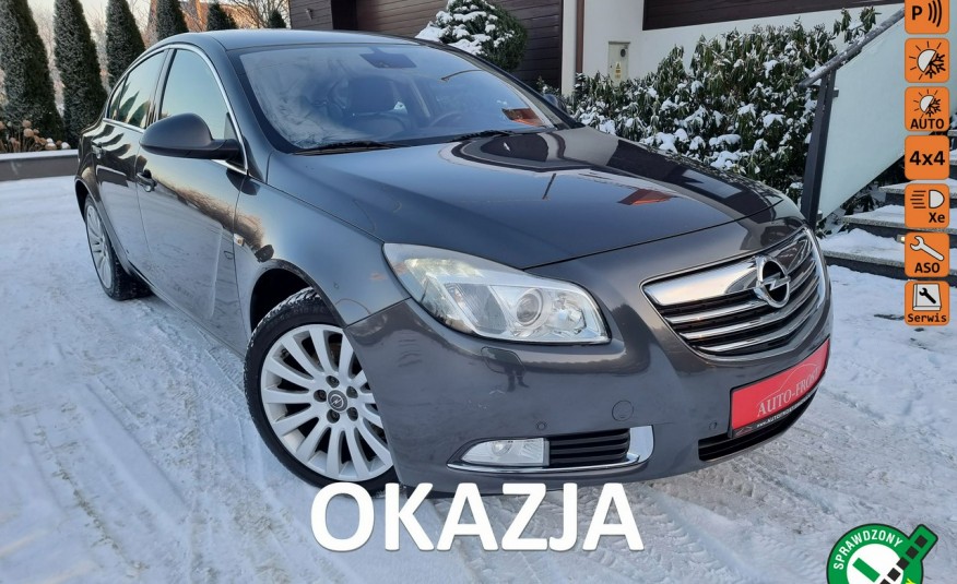 Opel Insignia 4X4 Skóry Navi Po wymianie Rozrządu zdjęcie 