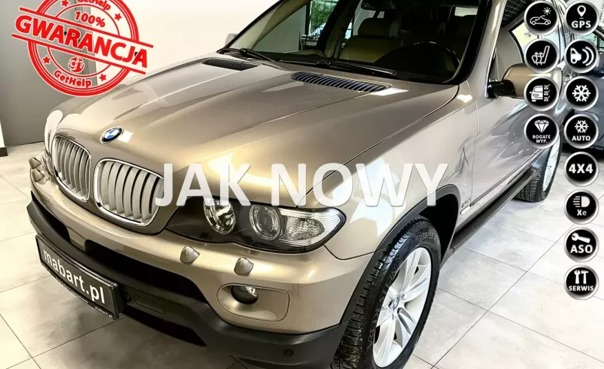BMW X5 3.0 d 218KM SPORT Komfor Panorama ALU Xenon Navi GPS TITAN 2 Z Niemiec zdjęcie 