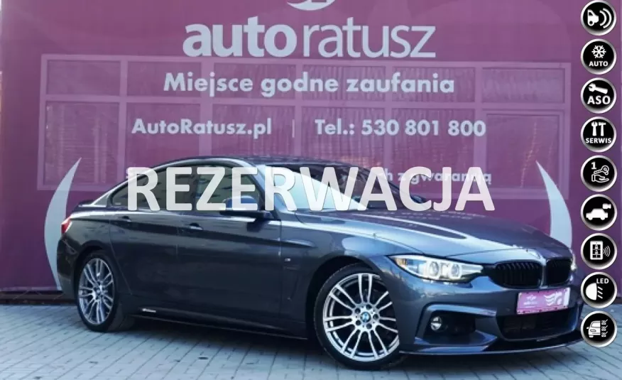 BMW 420 FV 23% / M-Pakiet Performance - Carbon/ LED / Org. Przebieg Serwis ASO zdjęcie 