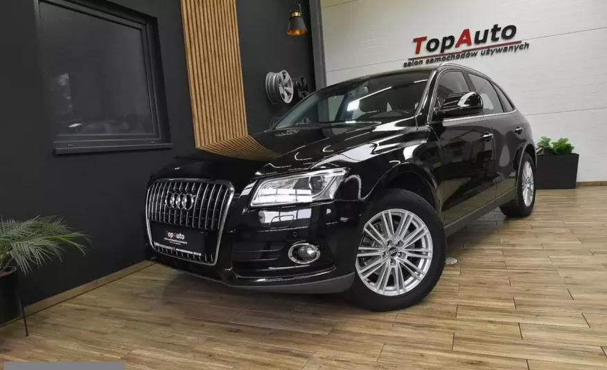 Audi Q5 2.0 TDI LED NAVI perfekcyjna MANUAL gwarancja FILM zdjęcie 
