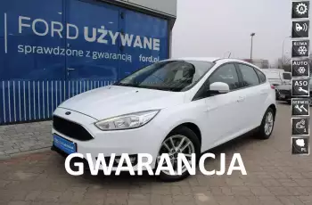Ford Focus Hatchback PlatiniumX 1, 5 EcoBoost A6 150KM ASO Forda Gwarancja