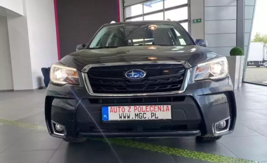 Subaru forester zdjęcie 