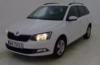 Skoda Fabia 1.4 TDI Ambition Salon PL 1 wł ASO FV23%