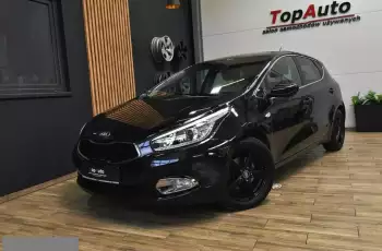 Kia Cee'd 1.4 i zaledwie 81000km manual bezwypadkowy // perfekcyjny / FILM