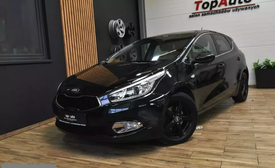 Kia Cee'd 1.4 i zaledwie 81000km manual bezwypadkowy // perfekcyjny / FILM zdjęcie 